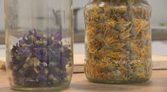 Liečebná metóda, ktorú poznali už naše prastaré mamy. Bylinná náparka je opäť v kurze