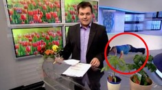 Maďarský televízny technik hitom internetu! Pozrite sa, čo vyviedol