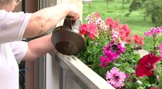Pohádame sa už pre čokoľvek. Aj pre kvety na balkóne