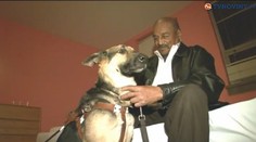 Pes hrdina: Nevidiaceho pána zachránil z horiaceho domu