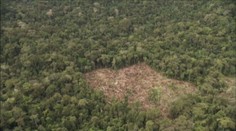 Zem drancujeme čoraz viac: Odteraz žijeme na dlh!