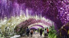 Najčarovnejšie miesto na svete? Prechádzka na tomto mieste musí ohúriť každého