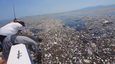 Zarážajúci objav: V haldách smetí na hladine oceánov sa darí viacerým malým živočíchom