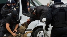 Čech pašoval v aute tisíce zvierat, niektoré cestu neprežili