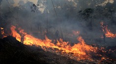 Bolsonaro súhlasí s prijatím zahraničnej pomoci na boj s požiarmi v Amazónii
