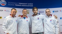 Hrbatý nominoval v Davis cupe na Bosnu a Hercegovinu túto šesticu hráčov