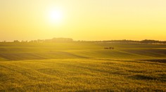 Klimatológ o predpovediach: Neverte správam, že bude najteplejšie leto za posledných 100 rokov