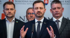 Nie som šéf tejto koalície, nado mnou je koaličná rada, vyhlásil premiér Heger