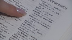 Slovo roka 2025 je vo svete jasné, ale slovenskí jazykovedci majú úplne iný tip. Prekvapí vás?