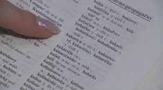 Slovo roka 2025 je vo svete jasné, ale slovenskí jazykovedci majú úplne iný tip. Prekvapí vás?