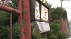 Nová poslankyňa v Stropkove si v poštovej schránke našla mŕtvu rybu