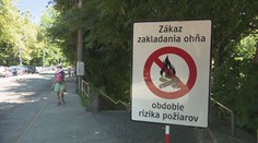 Grily a ohniská musia ostať studené. Bratislavské lesy hlásia riziko požiarov, opekačky sú zakázané