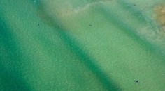 Vo vode nebola zďaleka sama. Keby toto tušila, prchá preč