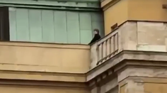 Video, z ktorého behá mráz po chrbte. Český novinár na strelca kričal, aby strieľal radšej naňho