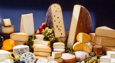 Titul „Najlepší syr sveta“ putuje do Španielska. Vo finále tesne porazil francúzskeho konkurenta