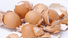 Škrupiny z vajec, ohryzky z jabĺk či jadierka z melónov. Jedzte všetko, je to zdravé
