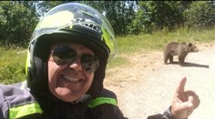 Selfie so smrťou. Motorkára zabil medveď po pokuse o fotku