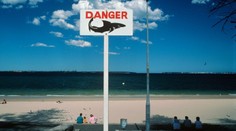 V obľúbenej dovolenkovej destinácii Slovákov útočil žralok: Zabil turistu, druhého zranil