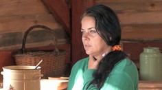 Mišu bodla osa: Spŕška nadávok ako v štvrtej cenovej