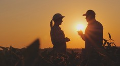 Začína sa astronomické leto. Dni sa budú už len skracovať