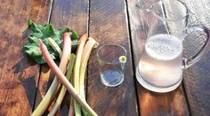 Rebarborový sirup