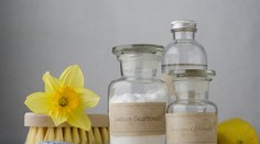 Citrón je nenahraditeľný. Tu je 16 spôsobov jeho využitia