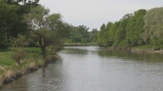 V okolí Moravy už vo veľkom lietajú komáre, zatiaľ neštípu. Má to jednoduché vysvetlenie