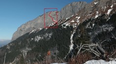 Medveď horolezcom: Ukážeme vám, ako sa vyšplhal na kolmú stenu Muráňa