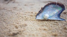 V Louvre v Abú Zabí vystavia údajne najstaršiu perlu na svete