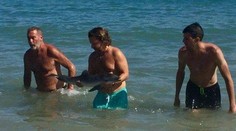 Mláďa delfína potrebovalo pomoc. Ľudia sa s ním fotili, kým nezomrel