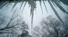 Severovýchod USA sa pripravuje na extrémne mrazy