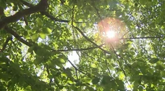 Leto ešte nepovedalo posledné slovo. Nedeľné počasie poteší mnohých Slovákov