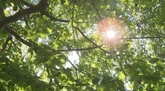Začína sa meteorologická jeseň. Prinesie slnečné dni aj zrážky