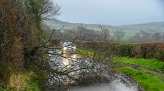 Tragická Veľká noc na poľskej strane Tatier. Padajúce stromy spôsobili tri fatálne incidenty s piatimi obeťami