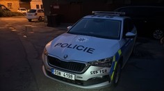 Policajt sa chcel stretnúť so 14-ročnou. Namiesto toho ho maskovaní muži vláčili lesom