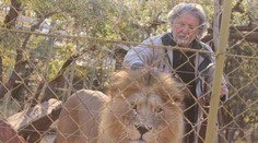 Muž sa počas opravovania plota chrbtom otočil k levom. Kruto na to doplatil