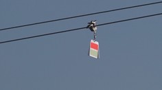 Slovenskí špecialisti začali ako prví na svete s unikátnou záchranou vtákov. Výsledok ohromil