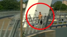 Agresívny vták sa stal legendou. Útočí iba na jeden typ ľudí