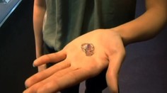 Padol cenový rekord: Za koľko vydražili vzácny ružový diamant?