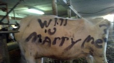 Najhoršie žiadosti o ruku. Chlapci, takto sa to rozhodne nerobí!