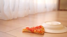 Spadlo vám jedlo na zem? Vedci zistili, či sa dá veriť pravidlu piatich sekúnd