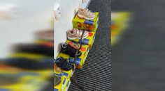 VIDEO: Medzi krabicami v obchode sa plazil had. Hasič ho naháňal po celej predajni