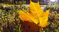 Čaká nás typické jesenné počasie. Rátajte so zvýšenou oblačnosťou aj s hmlou