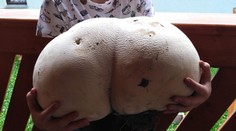 Toto doniesol Michal z lesa?! Pozrite sa, koľko váži tento vatovec