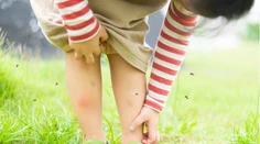 Štípu vás komáre? Prezradíme vám, podľa čoho si vyberajú svoje obete