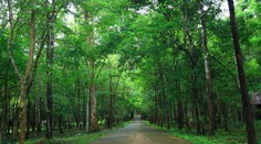 Od nedele sa bude počasie zlepšovať. V utorok až 16 stupňov C