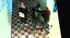 Brutálne video šokovalo Slovensko. Teraz hovoria, že sa to už nebude opakovať