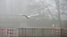 Po slnečných dňoch prichádza zmena počasia