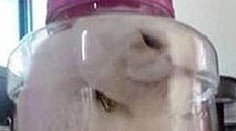 Študentka zavrela mačku za trest do fľaše. Fotku zavesila na Facebook