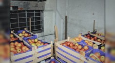 Poľskí coľníci našli v kamióne mieriacom do Ruska migrantov, ktorí si mysleli, že idú na Západ